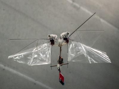 Microdrones Insect Delftse microdrone imiteert insectenvlucht - High-Tech Systems Magazine